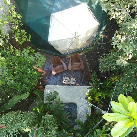 Hotel Momotus Glamping Florencia Exterior foto