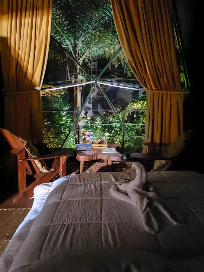 Hotel Momotus Glamping Florencia Exterior foto